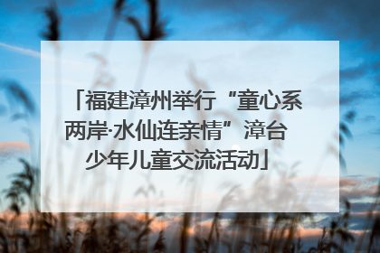 福建漳州举行“童心系两岸·水仙连亲情”漳台少年儿童交流活动