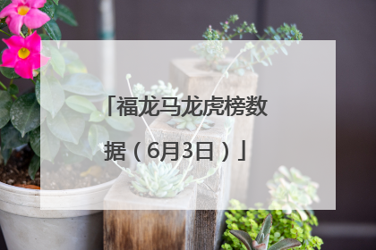 福龙马龙虎榜数据（6月3日）
