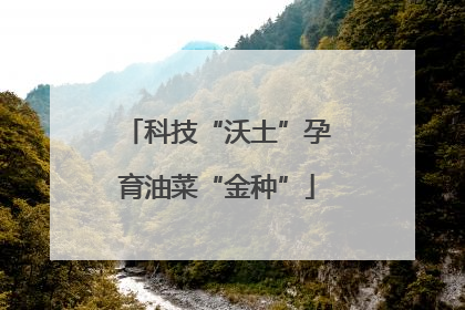 科技“沃土”孕育油菜“金种”