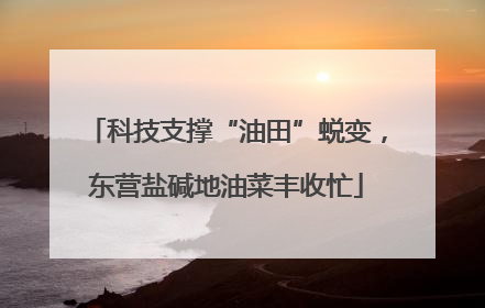 科技支撑“油田”蜕变，东营盐碱地油菜丰收忙