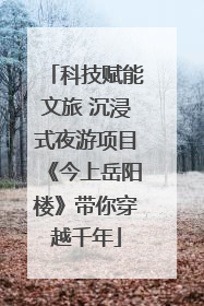 科技赋能文旅 沉浸式夜游项目《今上岳阳楼》带你穿越千年