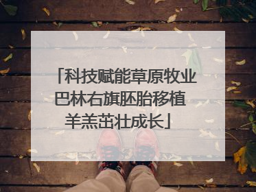 科技赋能草原牧业 巴林右旗胚胎移植羊羔茁壮成长