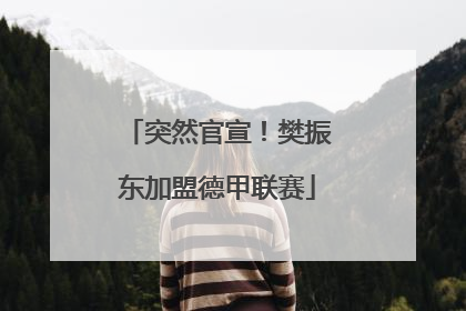 突然官宣！樊振东加盟德甲联赛