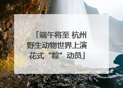 端午将至 杭州野生动物世界上演花式“粽”动员