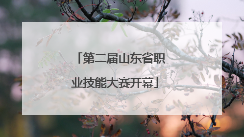 第二届山东省职业技能大赛开幕