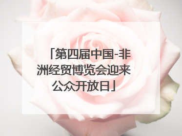 第四届中国-非洲经贸博览会迎来公众开放日