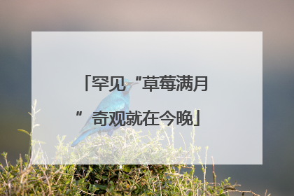 罕见“草莓满月”奇观就在今晚