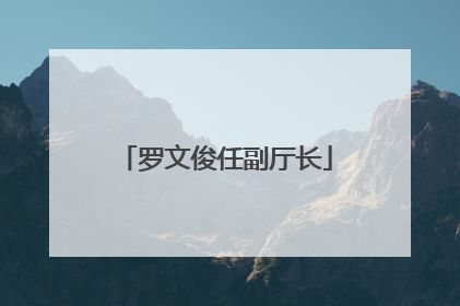 罗文俊任副厅长
