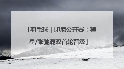 羽毛球｜印尼公开赛：程星/张驰混双首轮晋级