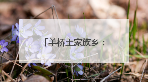 羊桥土家族乡：新型套种模式 助力增产增收