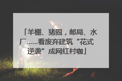 羊棚、猪圈，邮局、水厂……看废弃建筑“花式逆袭”成网红村咖