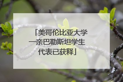 美哥伦比亚大学一亲巴勒斯坦学生代表已获释