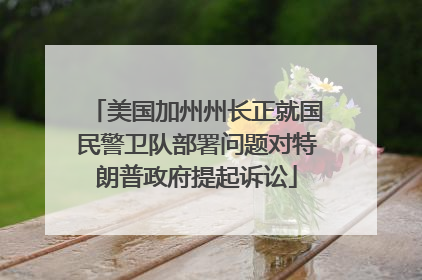 美国加州州长正就国民警卫队部署问题对特朗普政府提起诉讼