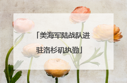 美海军陆战队进驻洛杉矶执勤