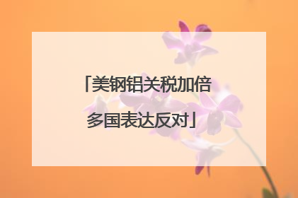 美钢铝关税加倍 多国表达反对