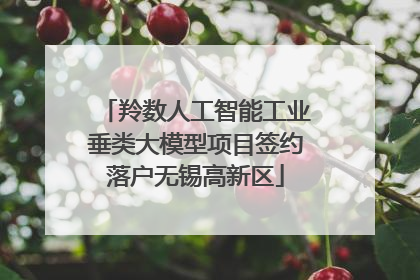 羚数人工智能工业垂类大模型项目签约落户无锡高新区