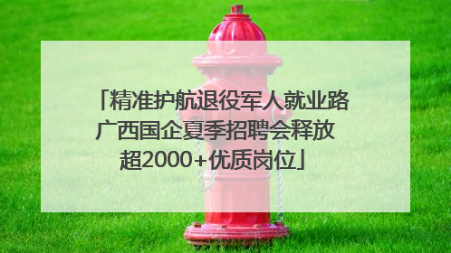 精准护航退役军人就业路 广西国企夏季招聘会释放超2000+优质岗位