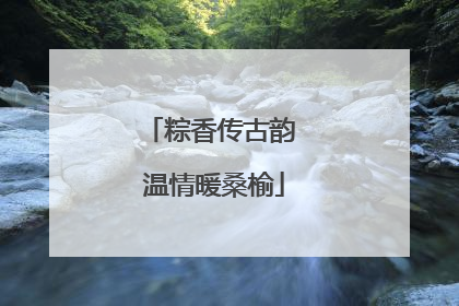 粽香传古韵 温情暖桑榆