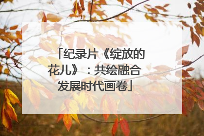 纪录片《绽放的花儿》：共绘融合发展时代画卷
