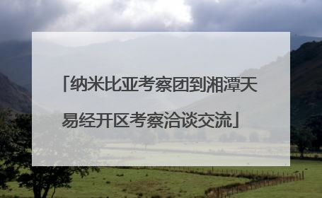 纳米比亚考察团到湘潭天易经开区考察洽谈交流
