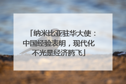 纳米比亚驻华大使：中国经验表明，现代化不光是经济腾飞