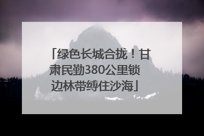 绿色长城合拢！甘肃民勤380公里锁边林带缚住沙海