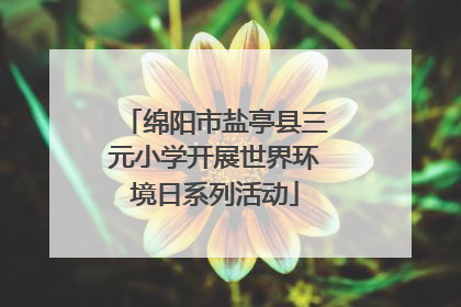 绵阳市盐亭县三元小学开展世界环境日系列活动