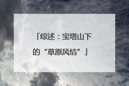 综述：宝塔山下的“草原风情”