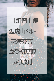 组图丨邂逅虎山公园花海芬芳 享受初夏限定美好