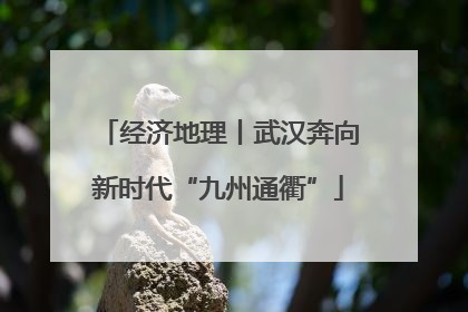 经济地理丨武汉奔向新时代“九州通衢”
