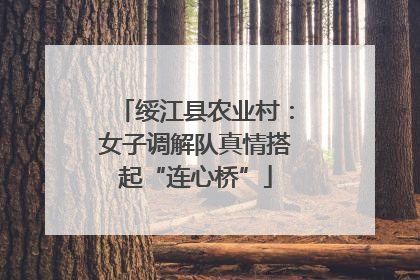绥江县农业村：女子调解队真情搭起“连心桥”