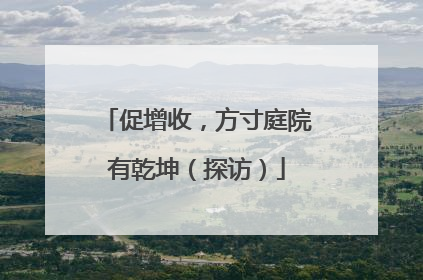 促增收，方寸庭院有乾坤（探访）