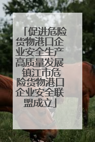 促进危险货物港口企业安全生产高质量发展 镇江市危险货物港口企业安全联盟成立