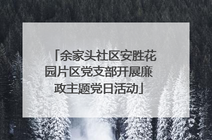 余家头社区安胜花园片区党支部开展廉政主题党日活动