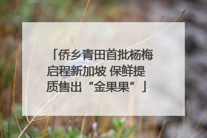 侨乡青田首批杨梅启程新加坡 保鲜提质售出“金果果”