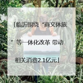 临沂围绕“商文体旅”等一体化改革 带动相关消费2.1亿元