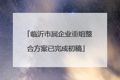 临沂市属企业重组整合方案已完成初稿