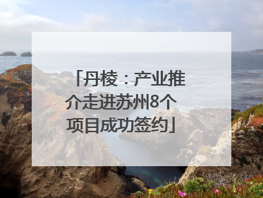 丹棱：产业推介走进苏州8个项目成功签约