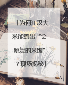 为何江汉大米能煮出“会跳舞的米饭”？现场揭秘