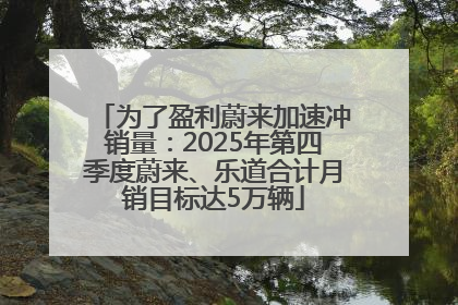 为了盈利蔚来加速冲销量：2025年第四季度蔚来、乐道合计月销目标达5万辆