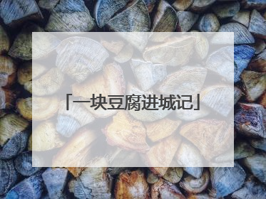 一块豆腐进城记