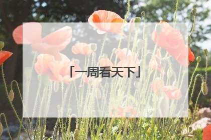 一周看天下