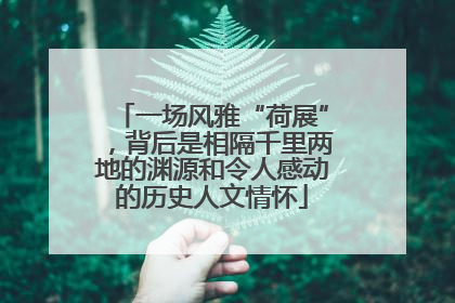 一场风雅“荷展”，背后是相隔千里两地的渊源和令人感动的历史人文情怀