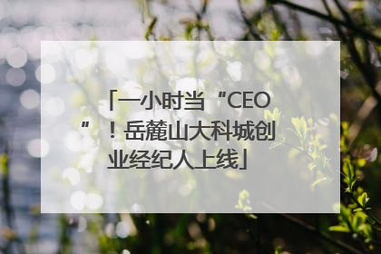 一小时当“CEO”！岳麓山大科城创业经纪人上线