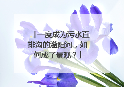 一度成为污水直排沟的滏阳河，如何成了景观？