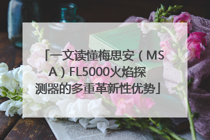 一文读懂梅思安（MSA）FL5000火焰探测器的多重革新性优势
