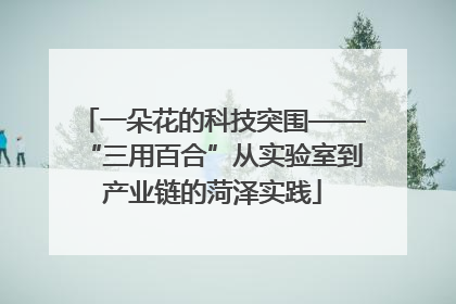一朵花的科技突围——“三用百合”从实验室到产业链的菏泽实践