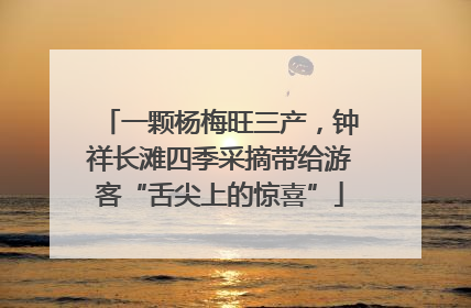 一颗杨梅旺三产，钟祥长滩四季采摘带给游客“舌尖上的惊喜”