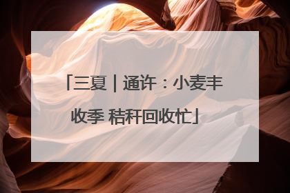 三夏｜通许：小麦丰收季 秸秆回收忙