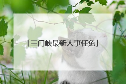 三门峡最新人事任免
